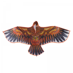 JG0404 - Cometa Águila