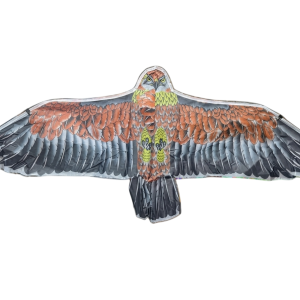 LE1300 - Cometa águila