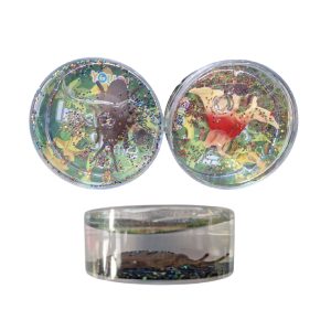 LE0519 - Slime insectos