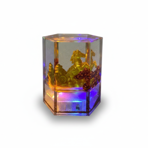 LE0633- Decoración de acrílico Hexágono