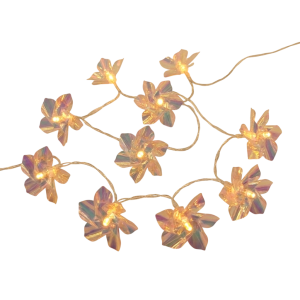 KA0845 - Guirnalda de 10 luces cálidas con flores